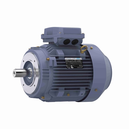 Marathon 5.50 Kw General Purpose Low Voltage Iec Motor, 3 Phase, 1200 Rpm, R629 R629